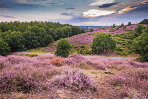 Weekend weg veluwe