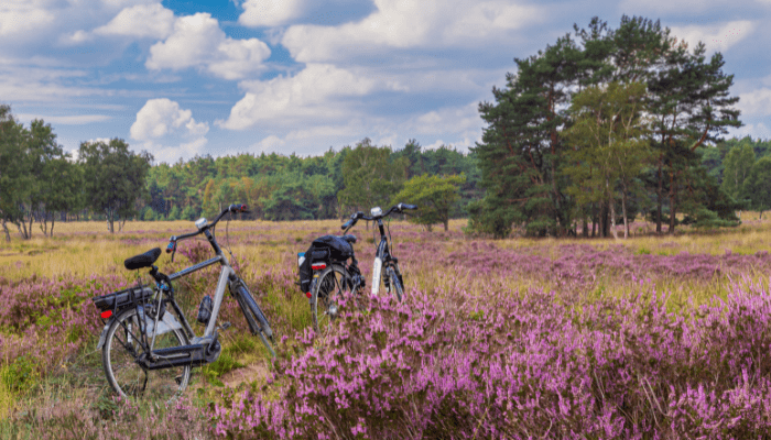 Fietsvakantie