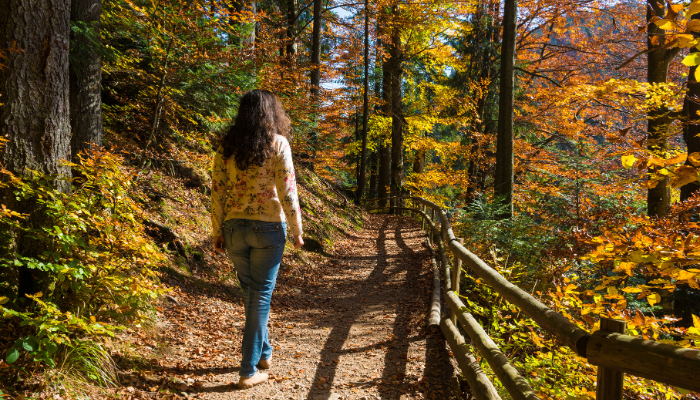 Wandeling in het bos